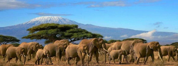Szafari Tanzániában Zanzibári pihenéssel **** kép