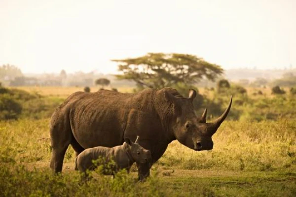 Kenya - Tanzánia - Zanzibár *** kép