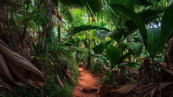 SEYCHELLES - AZ INDIAI-ÓCEÁN ÁLOMSZIGETEI **** kép