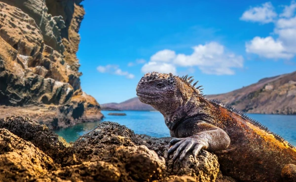 PANAMA - KOLUMBIA - ECUADOR ÉS A GALAPAGOS-SZIGETEK kép
