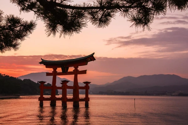 JAPÁN CSODA CSERESZNYEVIRÁGZÁSKOR kép