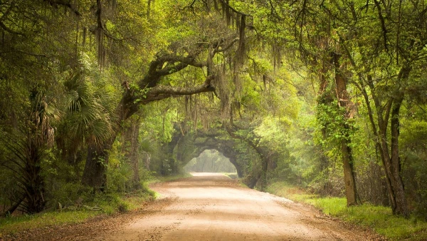 USA - A TITOKZATOS DÉL 18. kép