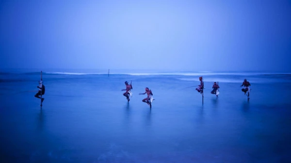 KÖRUTAZÁS SRÍ LANKÁN TENGERPARTI PIHENÉSSEL **** 19. kép