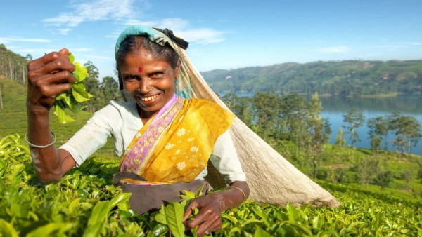 KÖRUTAZÁS SRÍ LANKÁN TENGERPARTI PIHENÉSSEL **** 3. kép