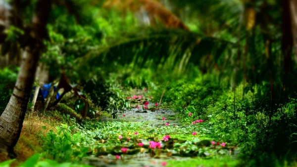 VIETNÁM - CSOPORTOS KÖRUTAZÁS **** 7. kép