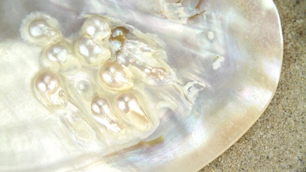 MALLORCAI HÉTVÉGE **** 8. kép