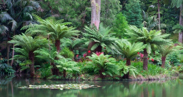 AZORI-SZIGETEK - SAO MIGUEL ÉS TERCEIRA **** 12. kép