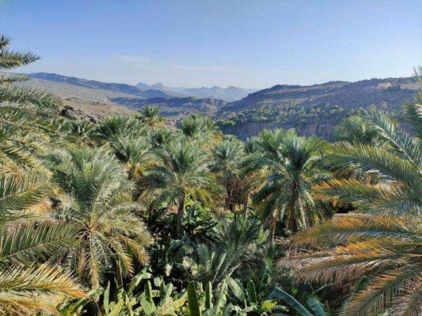 Ománi Szultánság Arábia tengeri kapuja és természeti kincsestára (Ománi Szultánság Arábia tengeri ka **** 6. kép