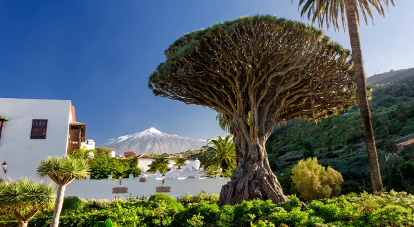 Kanári-szigetek 5. kép