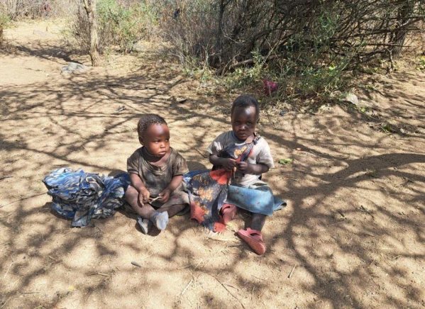 Szafari Tanzániában Zanzibári pihenéssel **** 4. kép