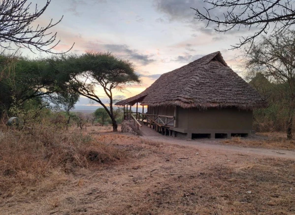 Szafari Tanzániában Zanzibári pihenéssel **** 14. kép