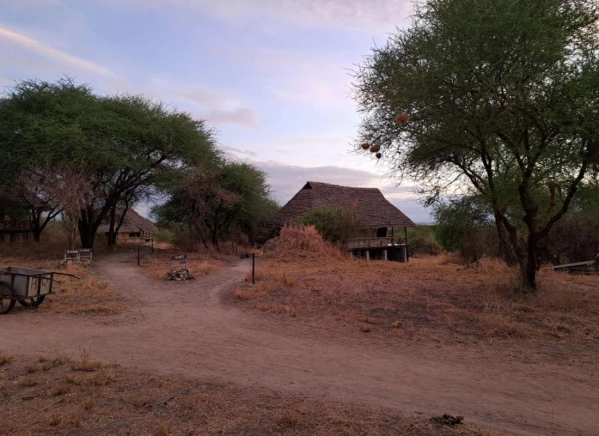 Szafari Tanzániában Zanzibári pihenéssel **** 11. kép