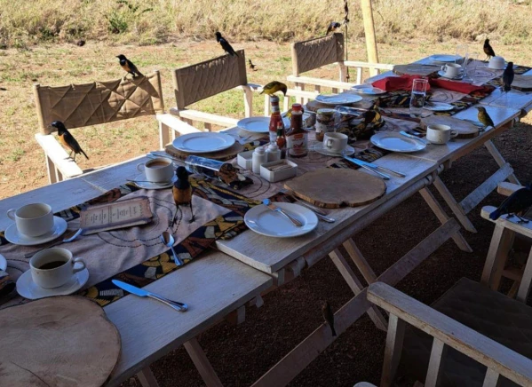 Szafari Tanzániában Zanzibári pihenéssel **** 17. kép