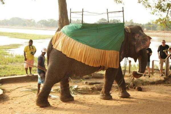 Nagykörút Sri Lankán 24. kép