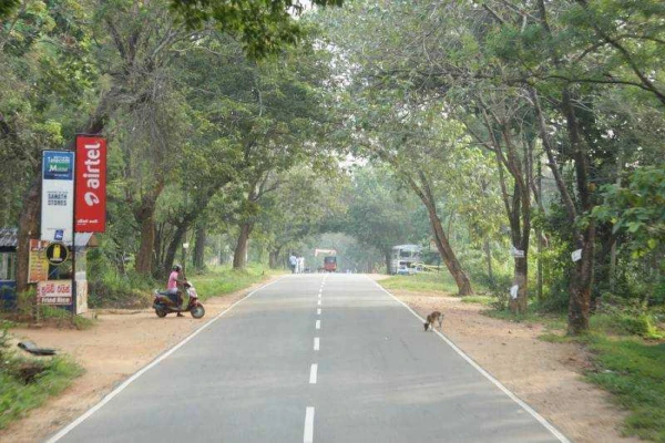 Nagykörút Sri Lankán 22. kép