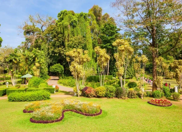 Srí Lanka körút pihenéssel a Maldív-szigeteken 13. kép