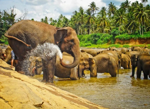 Srí Lanka körút pihenéssel a Maldív-szigeteken 6. kép