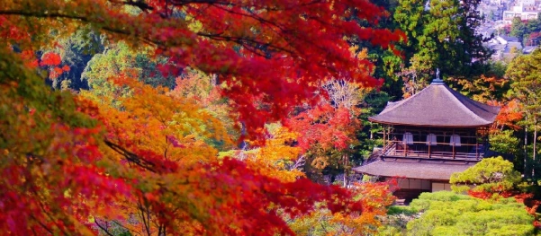 JAPÁN - ŐSZI SZÍNEK ÉS KARÁCSONYI FÉNYEK 22. kép