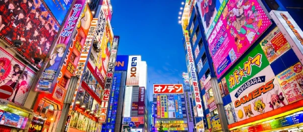 JAPÁN - ŐSZI SZÍNEK ÉS KARÁCSONYI FÉNYEK 9. kép