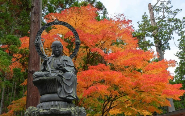JAPÁN - ŐSZI SZÍNEK ÉS KARÁCSONYI FÉNYEK 5. kép