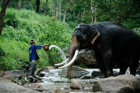 Nagykörutazás Thaiföldön, pihenéssel Phuketen 24. kép