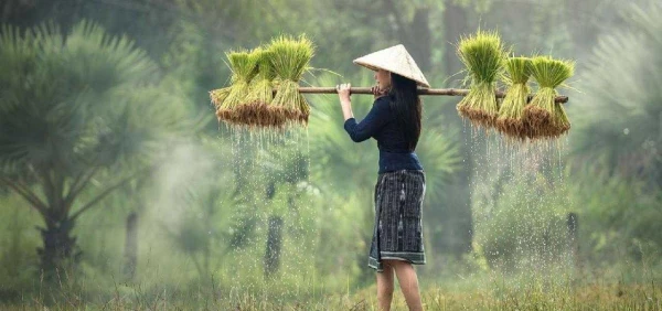 Körutazás Vietnámban üdüléssel 12. kép