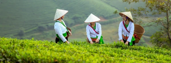Körutazás Vietnámban üdüléssel 13. kép