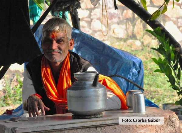 Tigris és nagyvad szafari 12. kép