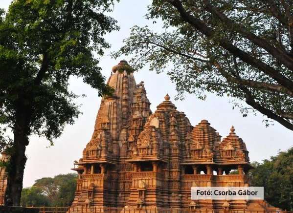 Tigris és nagyvad szafari 3. kép