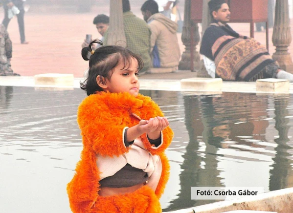 Tigris és nagyvad szafari 10. kép