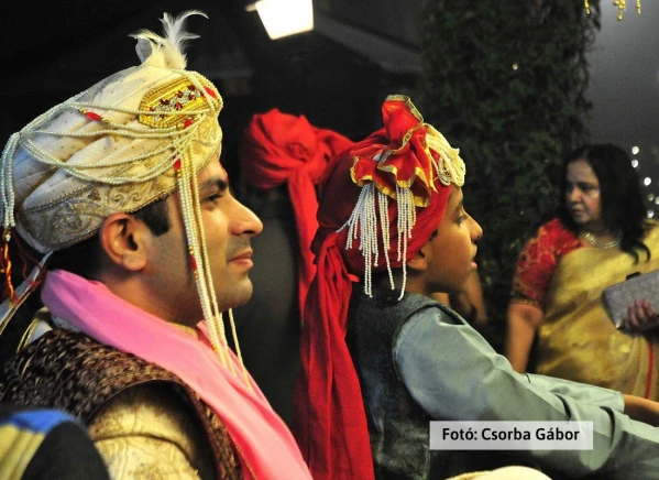 Tigris és nagyvad szafari 9. kép