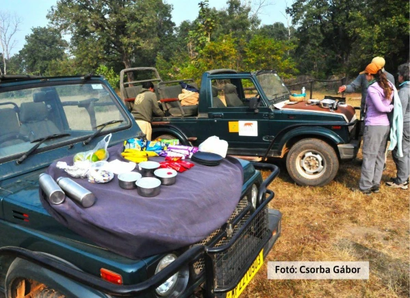 Tigris és nagyvad szafari 26. kép