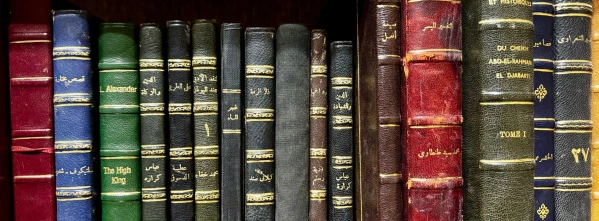 Könyves Kairó - kultúra nagykanállal ***** 12. kép