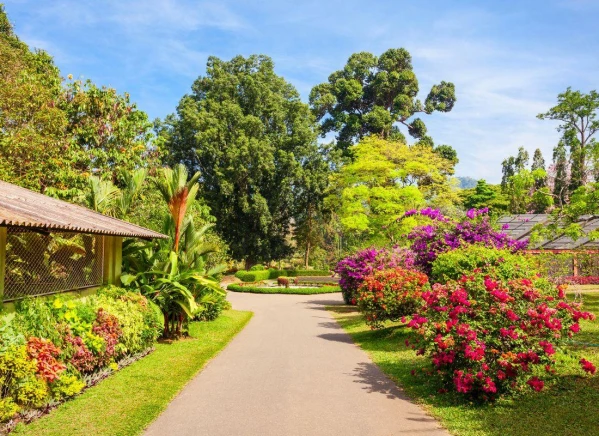 Szilveszter éjszaka a Maldív-szigeteken 5. kép