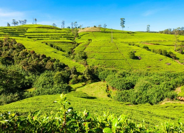 Szilveszter éjszaka a Maldív-szigeteken 3. kép