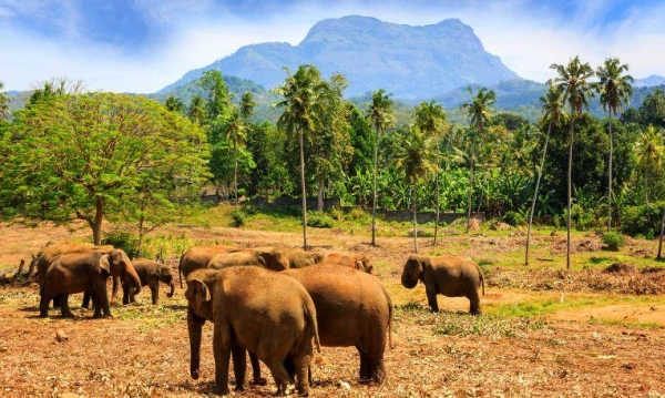 Szilveszter éjszaka a Maldív-szigeteken 26. kép