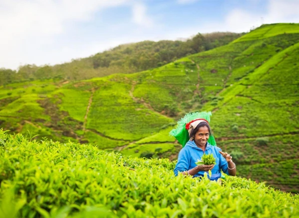 Szilveszter éjszaka a Maldív-szigeteken 2. kép