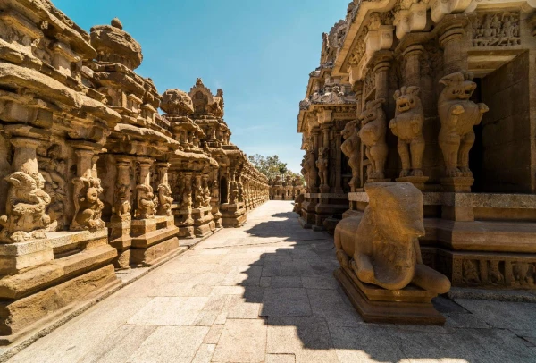 DÉL-INDIA KISKÖRÚT kép