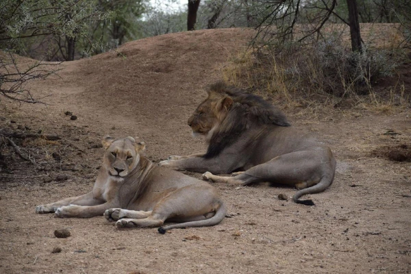 NAMÍBIA - BOTSWANA - ZIMBABWE 16. kép