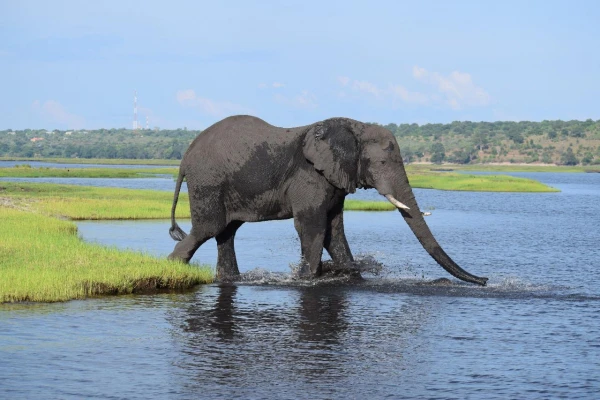 NAMÍBIA - BOTSWANA - ZIMBABWE 21. kép
