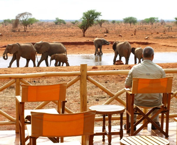 Szafari (1+6) - BETEKINTŐ, repülővel 11. kép