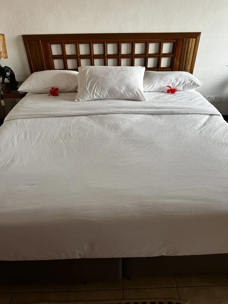 Szafari (1+6) - BETEKINTŐ, repülővel 10. kép