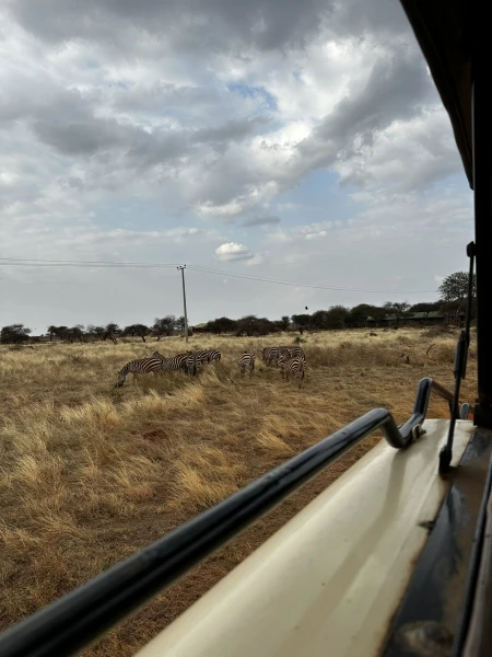 Szafari (1+6) - BETEKINTŐ, repülővel 2. kép