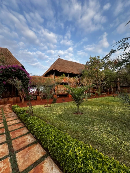 Szafari (1+6) - BETEKINTŐ, repülővel 8. kép