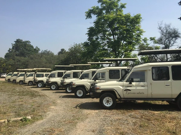 Szafari (1+6) - BETEKINTŐ, repülővel 12. kép