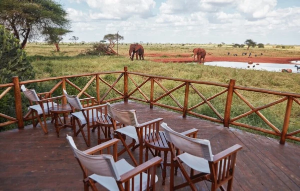 Szafari (1+6) - BETEKINTŐ, repülővel 13. kép