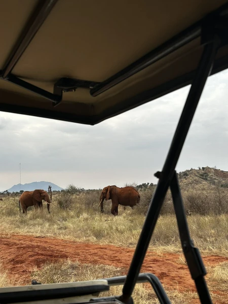 Szafari (1+6) - BETEKINTŐ, repülővel 3. kép