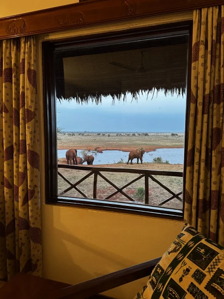 Szafari (1+6) - BETEKINTŐ, repülővel 1. kép