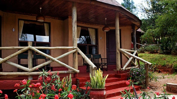 Szafari (4+3) - FELFEDEZŐ, repülővel 7. kép