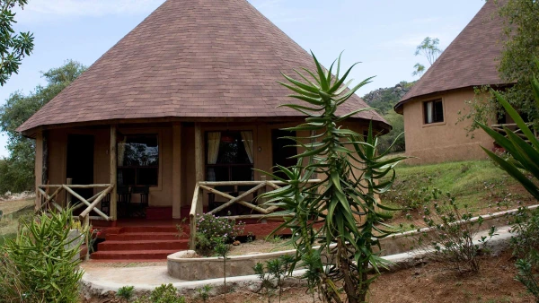 Szafari (4+3) - FELFEDEZŐ, repülővel 8. kép